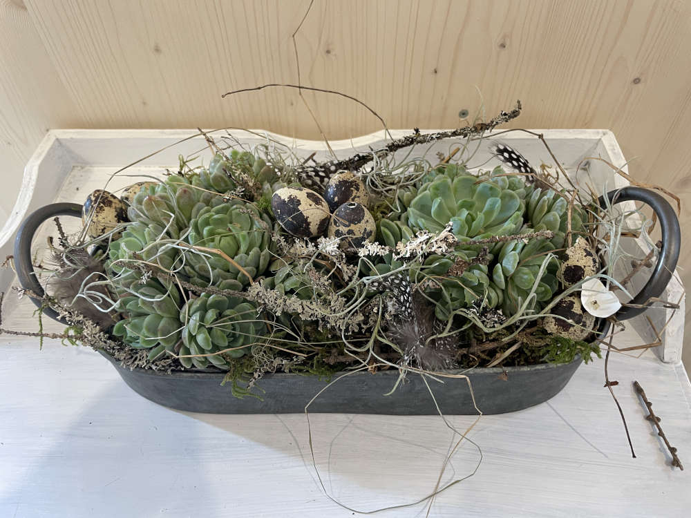 Dekorative Bepflanzung Bepflanzug