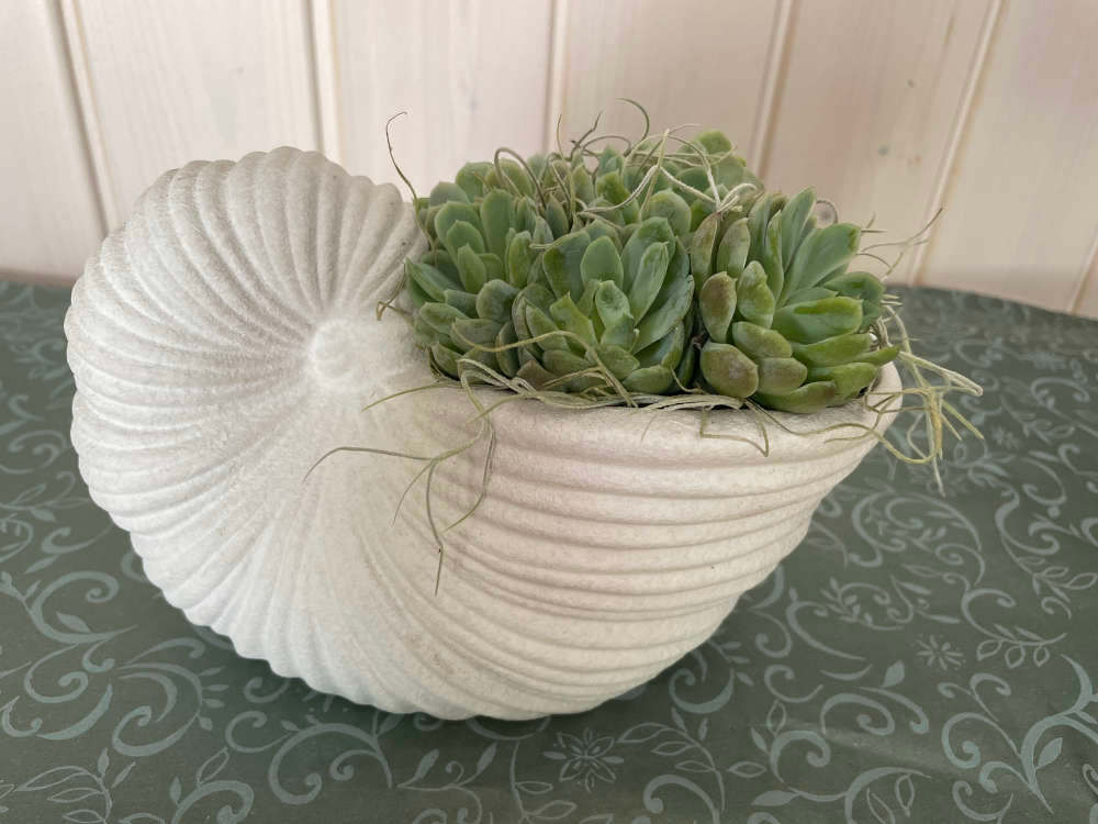 Ein Schnegg aus Stein der Bepflanzt ist.