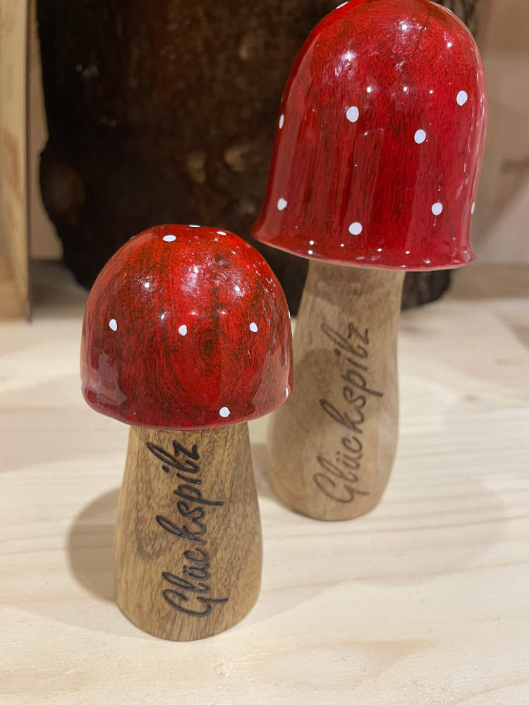 Holzpilze- Glückspilz