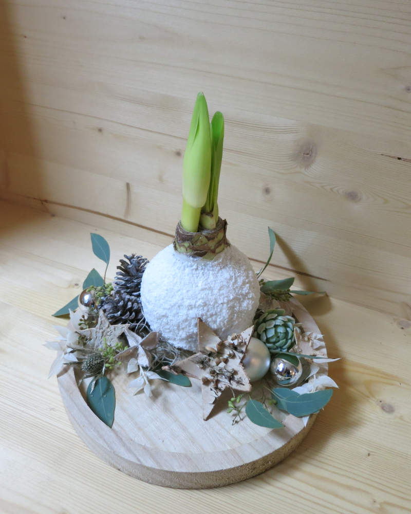 Wachsamaryllis in weiss ausgarniert auf einem Brett