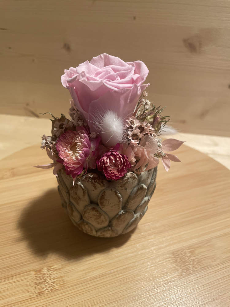 stabilisierte Rose in rosa, in einem Topf ausgarniert