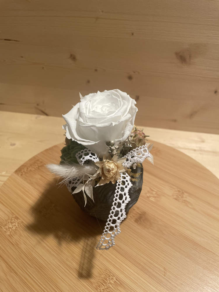 stabilisierte Rose in weiss, in einem Topf ausgarniert