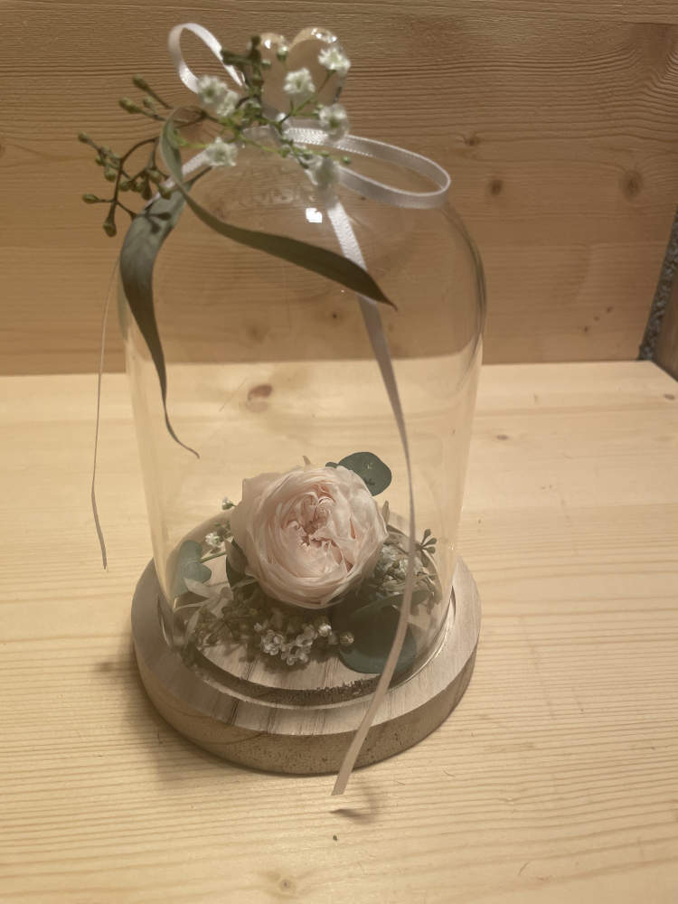 Stabilisierte Rose in einer Glasglocke 
